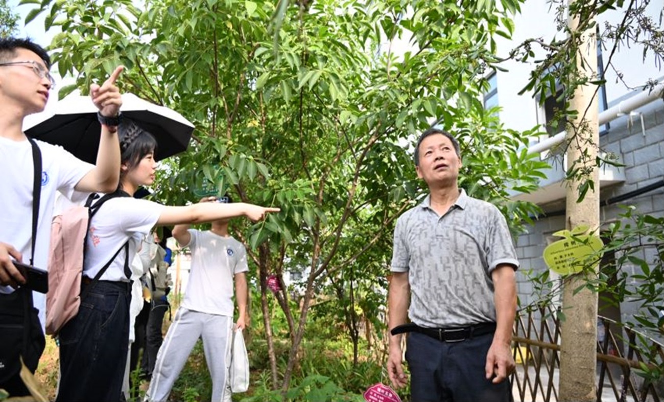 SнӳSɽt̤GҰйŽĳ`ƺg