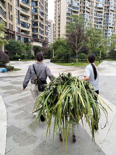 ƺVڌ`lഺ֮x^֪R֮cͯ