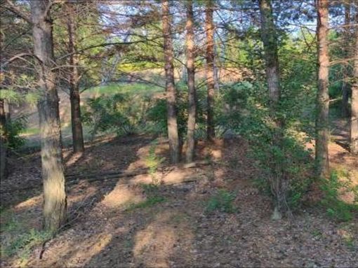 ƼWſ،WԺʡꖅ^Bh`Fʡa˺ŮɳB^_չɳ`