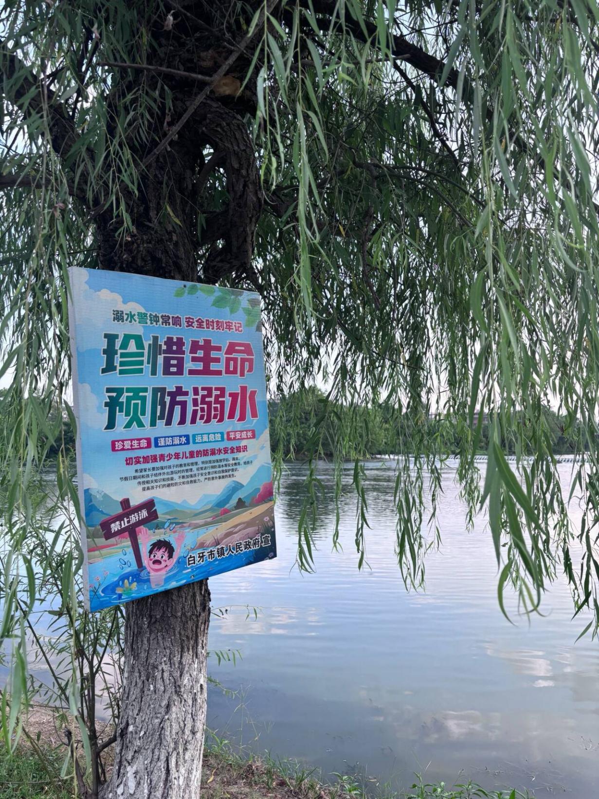 ഺo|ƽϢW(xu)Ժʰ⡱Fηˮȫ