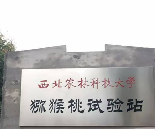 }JҮaIƼr rֿƼWˮWԺüh`o