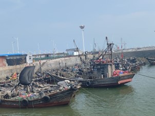 W̽LՏ_OںеĈԌcS