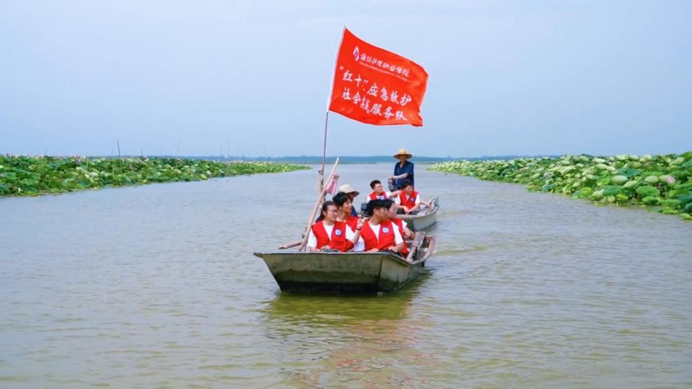 HoI(y)W(xu)Ժڡl(xing)`