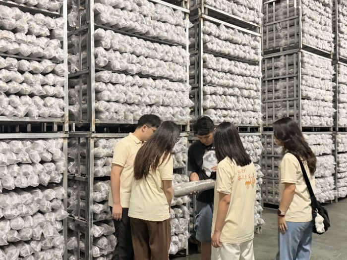 ƄഺǄxǧ깽 Wƾ֮aI