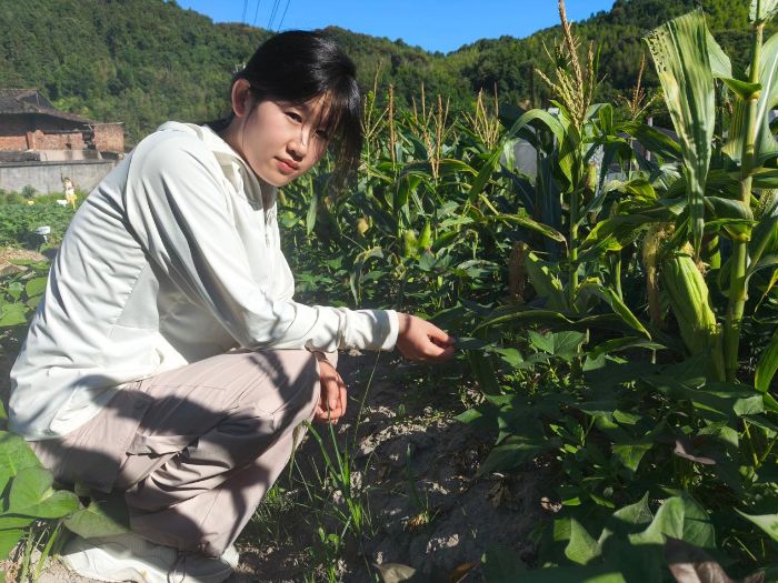 rִW硱`lǧŮߣٴrչ