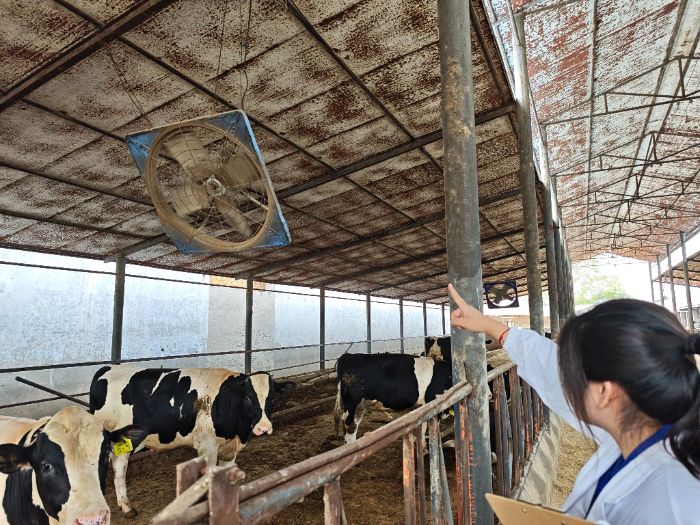 һഺ̘Iƾ֡ϿƼWţDC`F`o