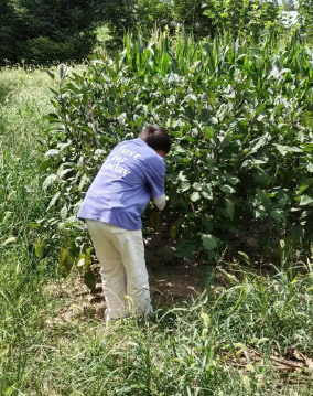 ڌ`p(zhn) @c^(q)Ļഺ