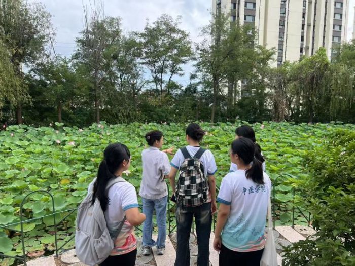 ̤ˎ퍣ѭ}L ɽ|tˎWSݹ⌤}uLˎIӛ