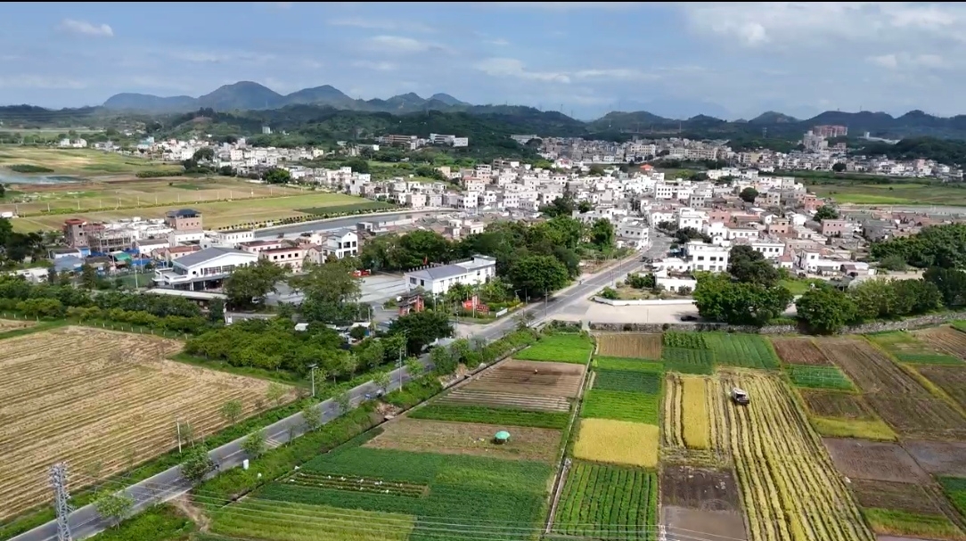 {(dio)ƪVݹ̌W(xu)ԺӼth꠽aʼҴ塰ǧfl(f)չܴa