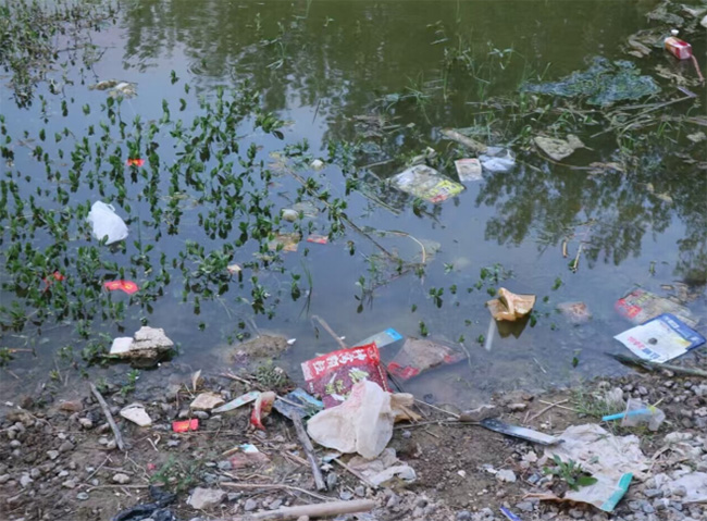 ݴW(xu)(sh)`F(tun)u{(dio)Уഺ֮̽B(ti)cd·