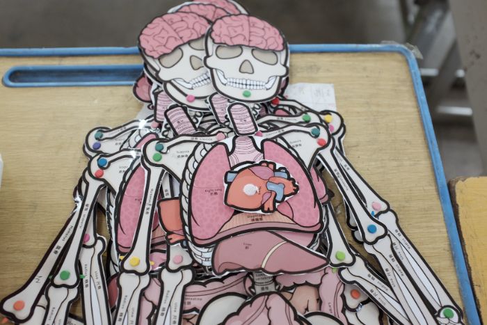 AW(xu)Ӳt(y)W(xu)N Ȥζwnc(din)l(xing)ͯ