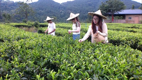 l(xing)Ќ`F̽أzl(xing)dƪ