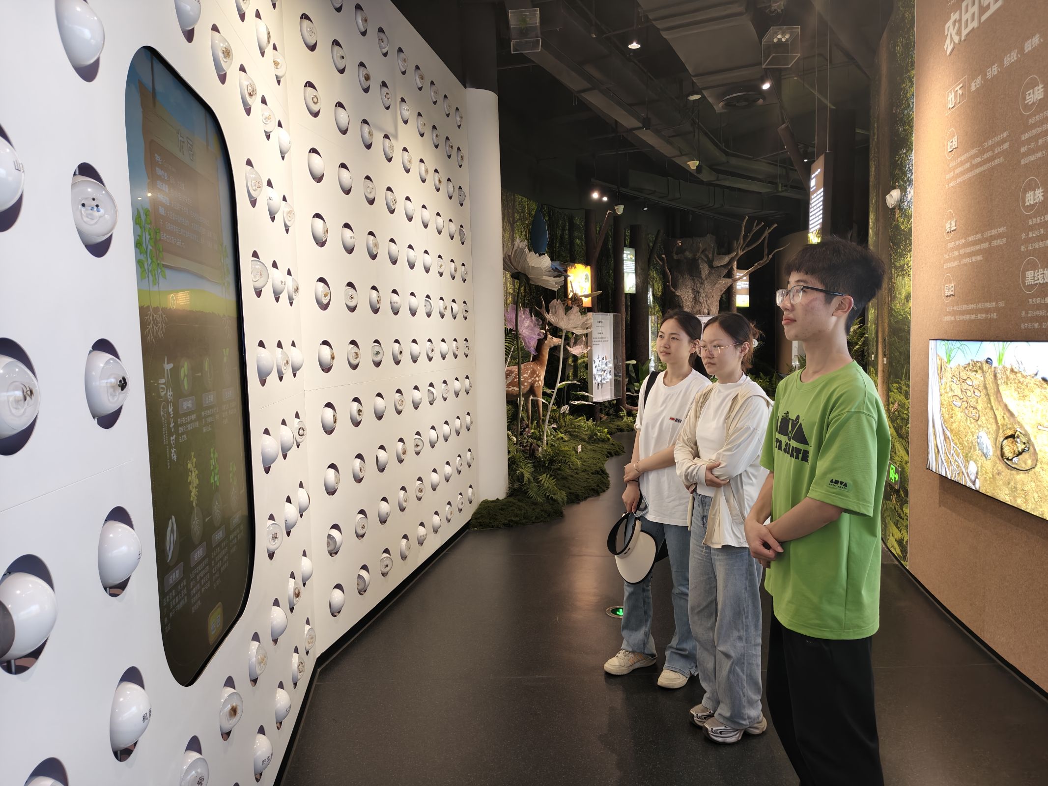 ͨW(xu) ̼  `F h(hun)^ഺ(dn)(dng)ξGɫJ(rn)֪