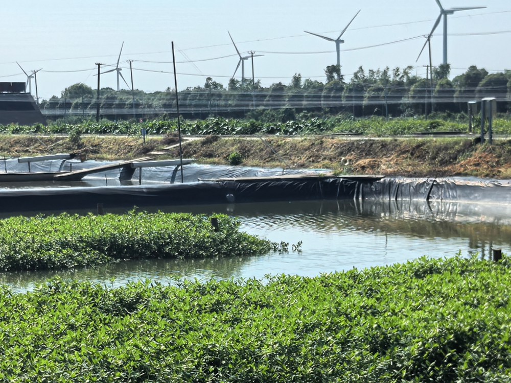 ؔзˮ`Fꠣ۽Kзֳxld