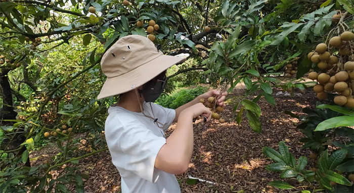 ǧf̡ͻ| V⡰¸ߓP`ഺ֮|Ч