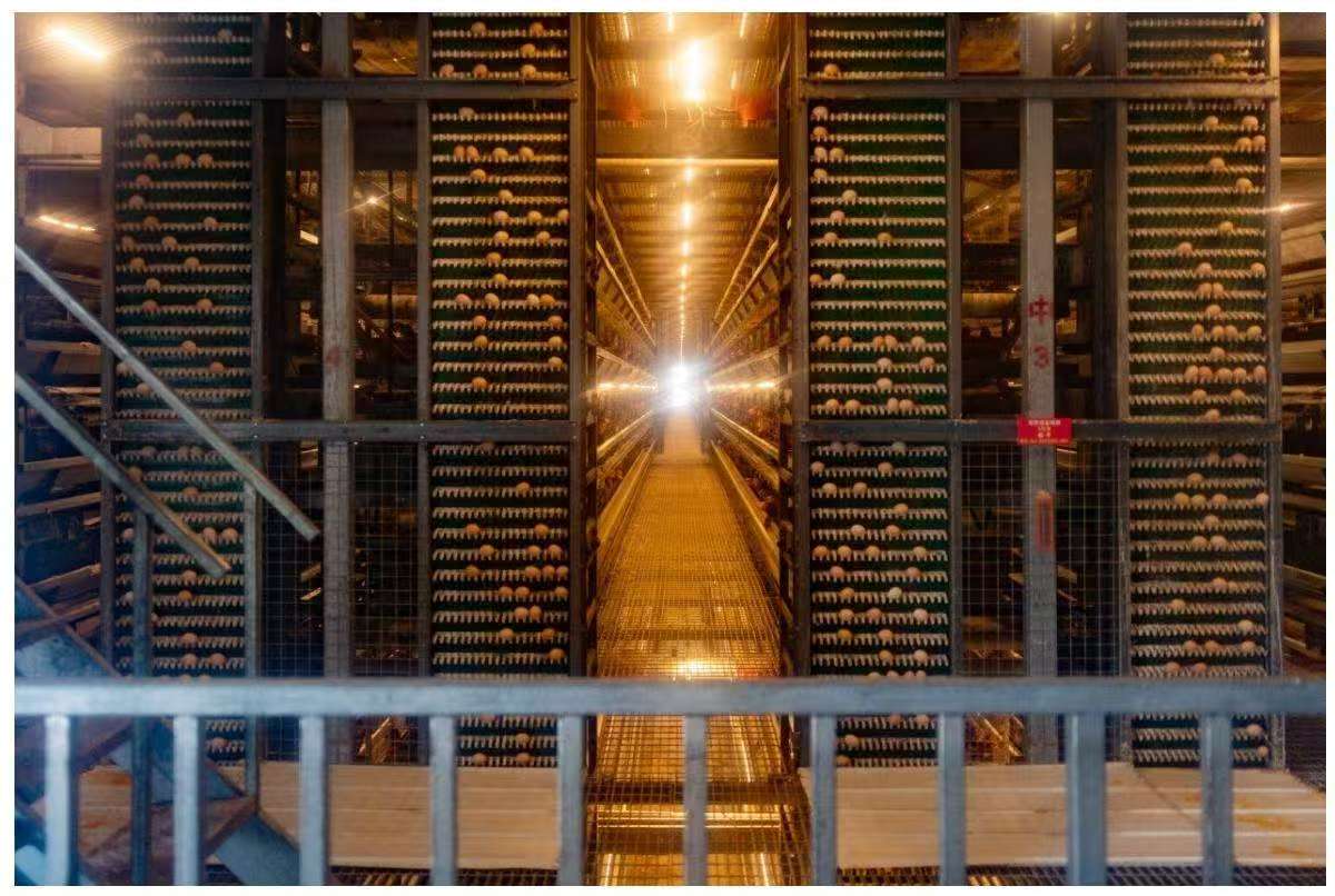 LɽrO p桱Ϻ {ǻ `F {ld