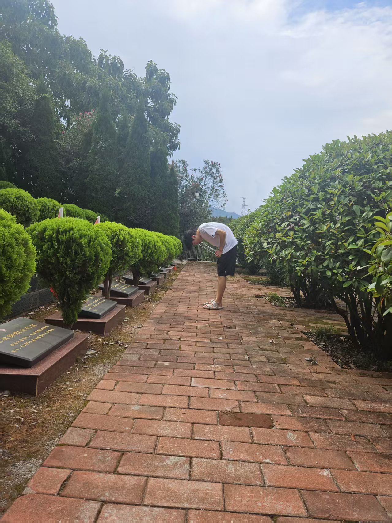 AWУFί{Ҽtꌍ`_չۇx`