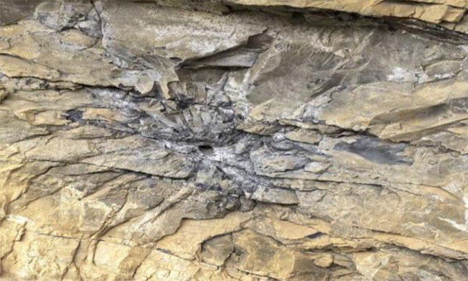 ɶtWԺt־ԸՈF·zУsmtɫѪ}