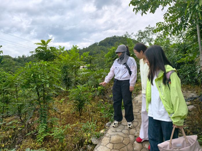 Pɽˎpd`һáˎġaI ѺN繫˾̽ҪЧ·