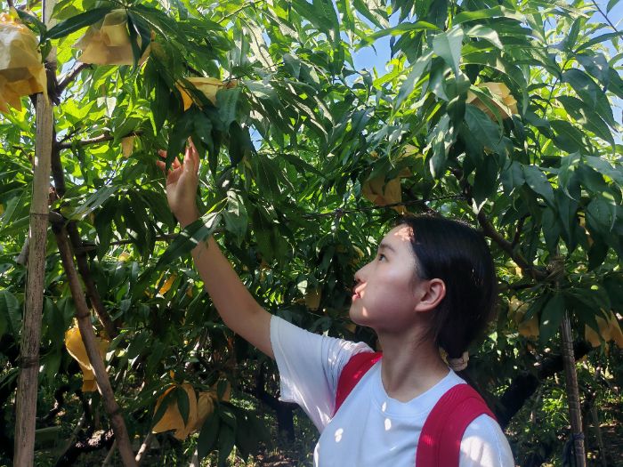 ҈@̎Lræ PW̽PˮҮaILܴa