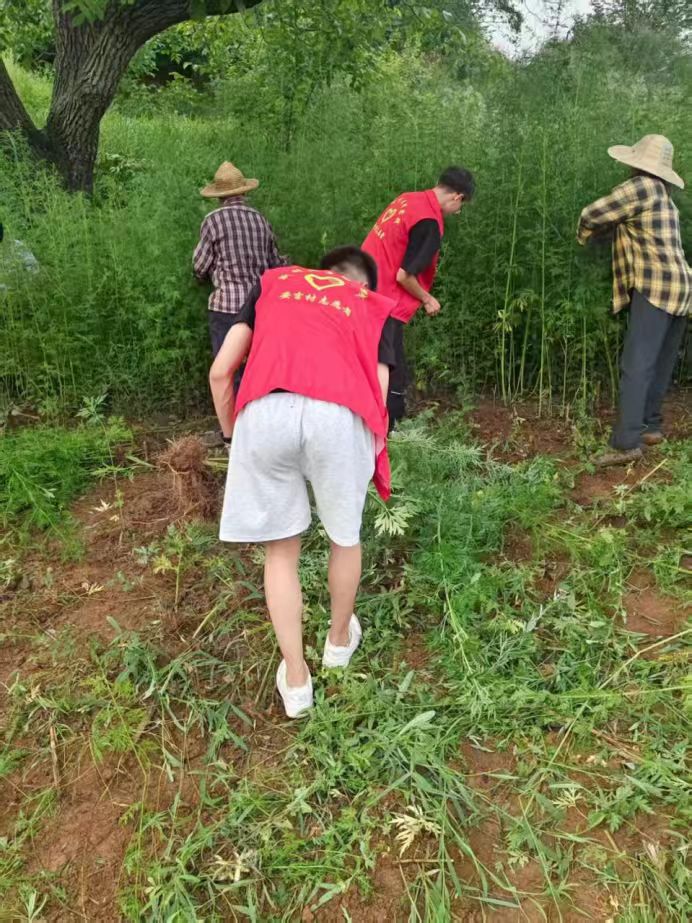 ഺloG` | l匍`cĳ