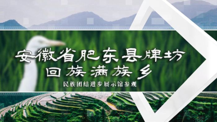 ϾW̩݌WԺtʯ񡱸ʖ|Ʒl̽干ڌ`߻ӌЧ