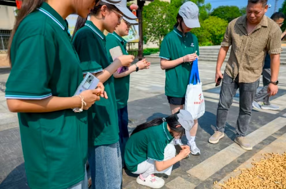 Z顰ýSlL干D2025ȫcFꠣЇ񺽴WSZl塱`ִ匍`