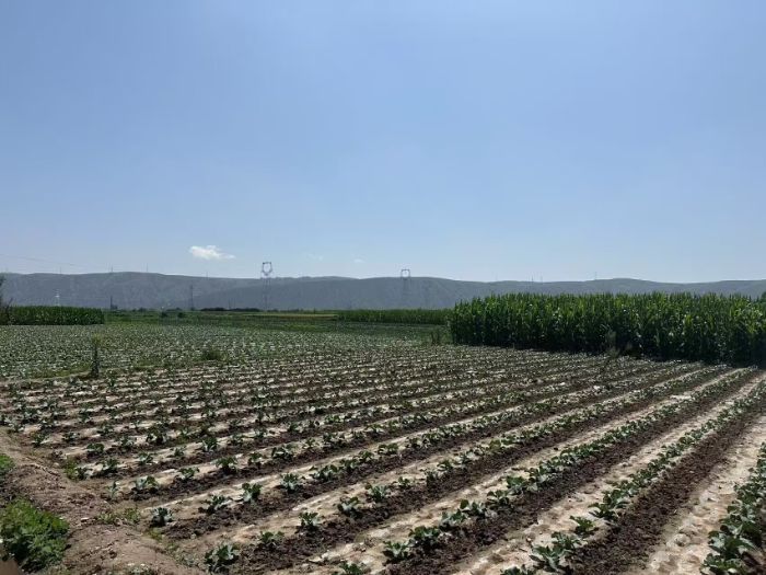 ]ԭнﮠʜpеĴHǻGɫr(nng)I(y)D(zhun)