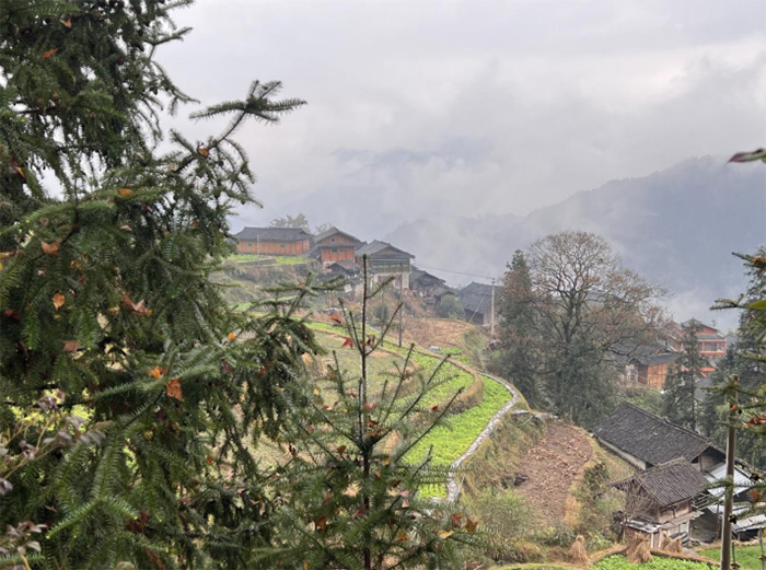 zҊCӰۙF״ʽĻwھز