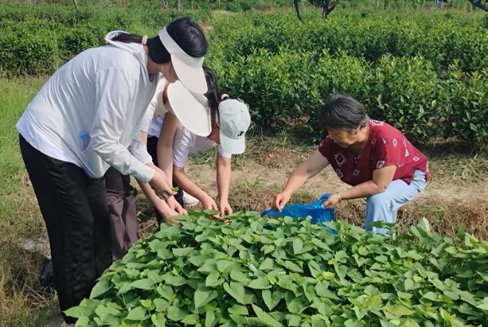 ֪ڸǡrС̽Lɽ˵ժuːrf