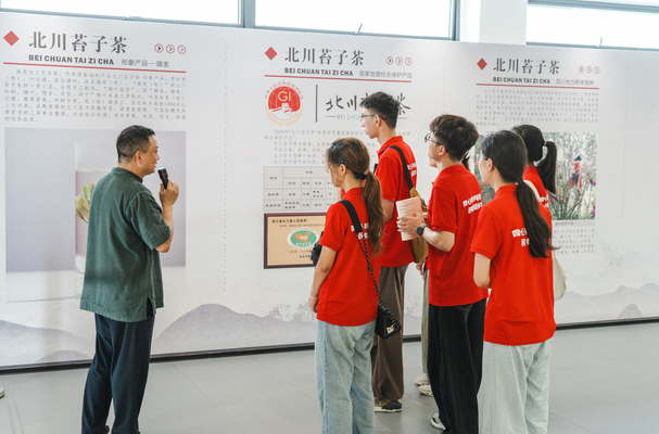 Ʒ̦Ӳ F(tun)Y(ji)B  L(zhng)W(xu)(sh)`(du)M(jn)Ļչʾ