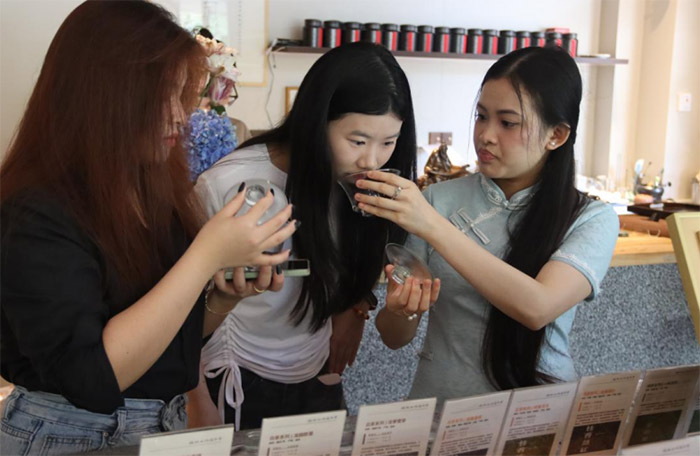 ģΡhZn_vĻɿĻ̌Wdw