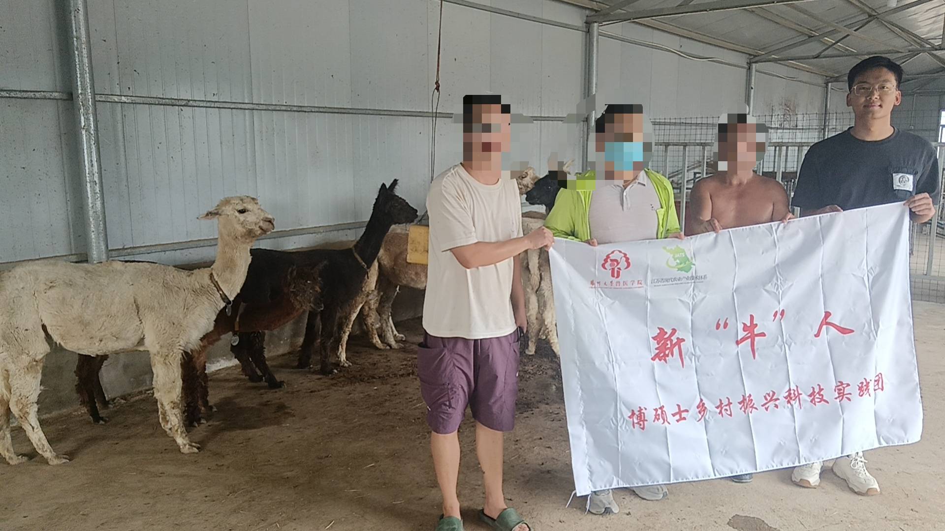 BB(yng)ֳP(yng)Ft(y)оF(tun)(du)YԮƽ ߜ y}