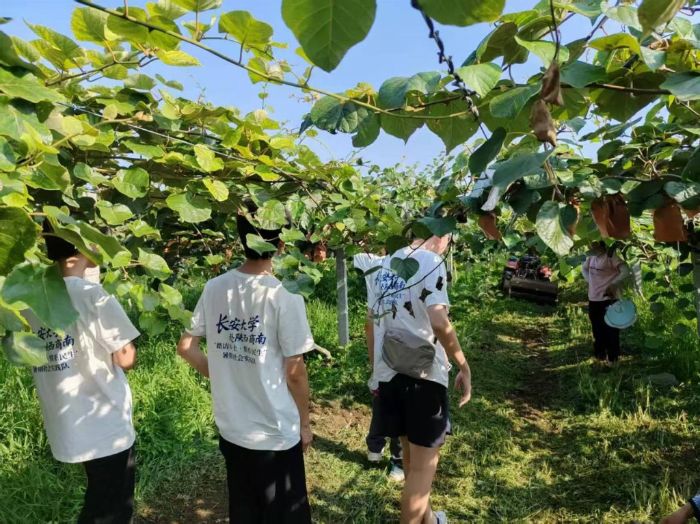 LW(xu)ϡ̤Ll(xing)ϵ(sh)`(du)̽LNֲaJҮa(chn)I(y)·