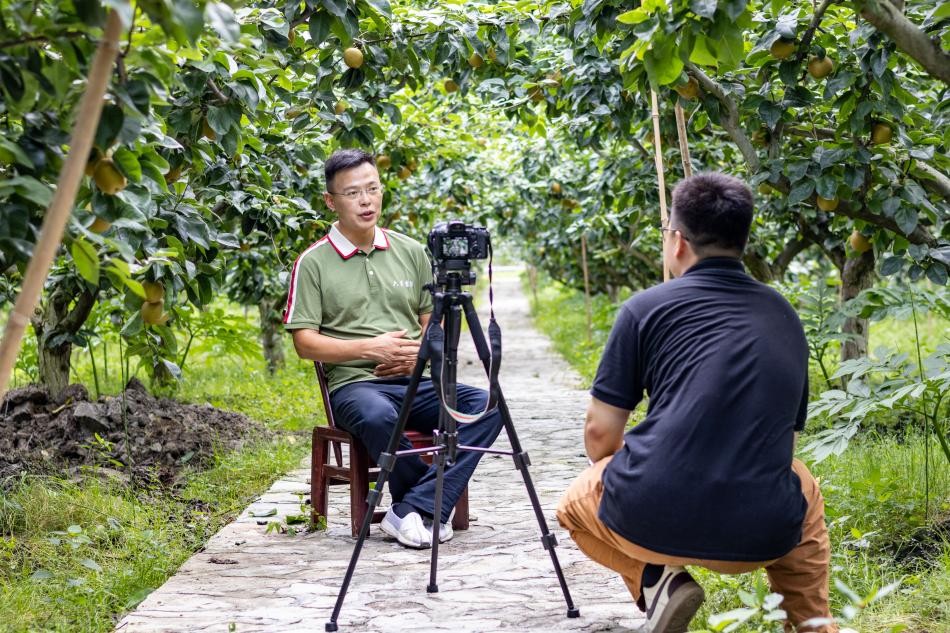 `FɆTĔz΢oƬڰп䡷^