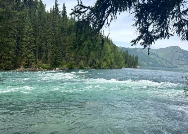 ɽg x܌I 2024 ڌI ɽ `ӈAMĻ