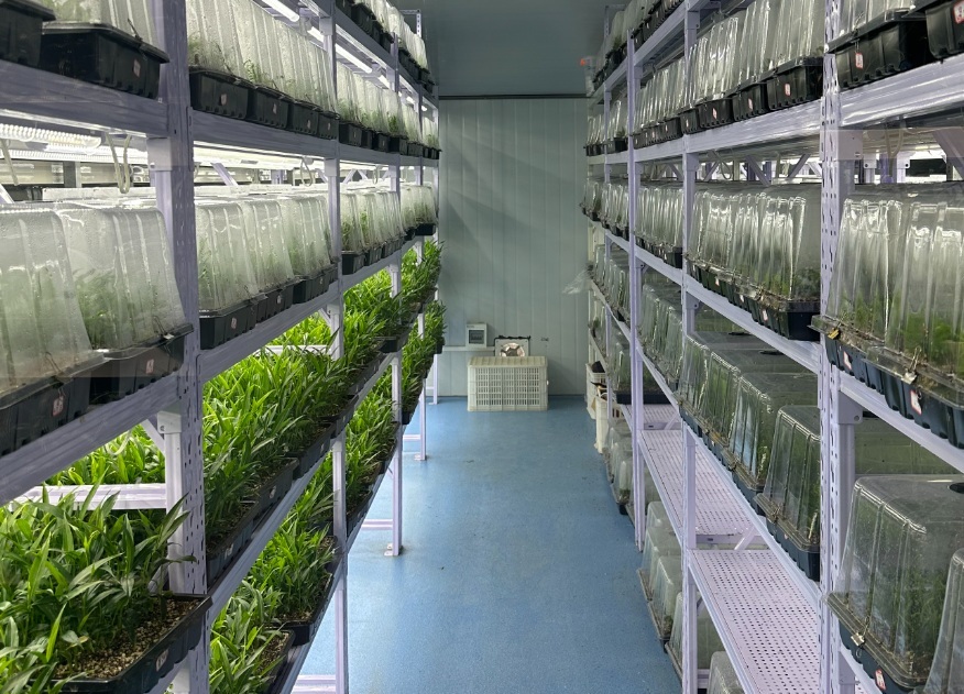 ƴ󡰼dS`ꠡGδdϣ &#160;