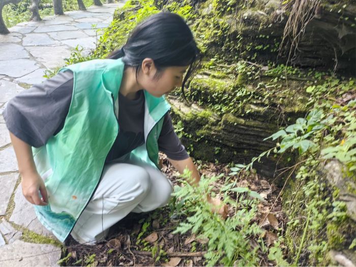 ɭ``꠵ʮաoɭ֭hңBC