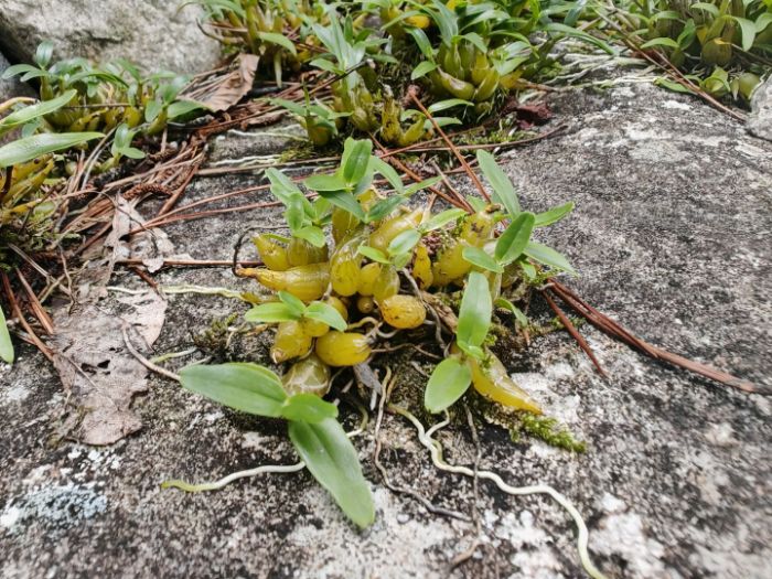 ϾؔWr月F̽LBȣ|A匚ԭBܴacԴo