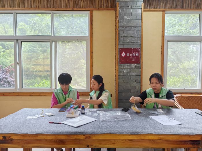 ഺo(h)GҰW(xu)h(hun)B(yng)(sh)`B(ti)