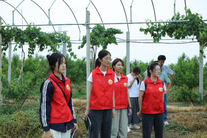 ɽ|W(xu)W(xu)ԺѭɡЌ(sh)`F(tun){(dio)ƽؿhXͥr(nng)̽l(xing)d·