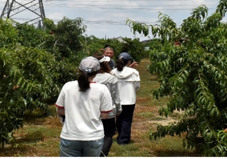 Ͼؔ(ci)(jng)W(xu)(hu)Ӌ(j)W(xu)Ժr(nng)ϵġh(yun)(sh)`F(tun){(dio)н³(zhn)ļ҈@