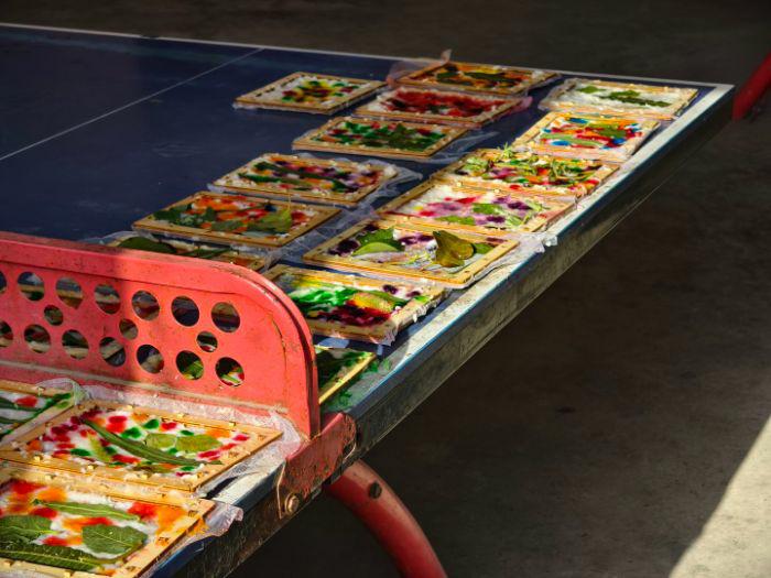 조MӺWM֧̈FĹŷ켈n׌ͯČԒǧǻ