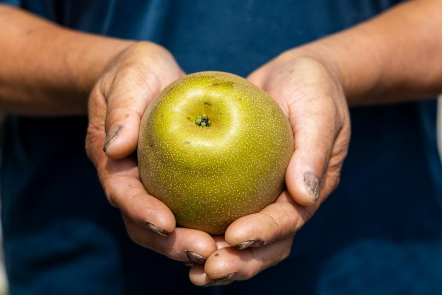 ѩ֮tѩ棨Wͨӛ ܇ z