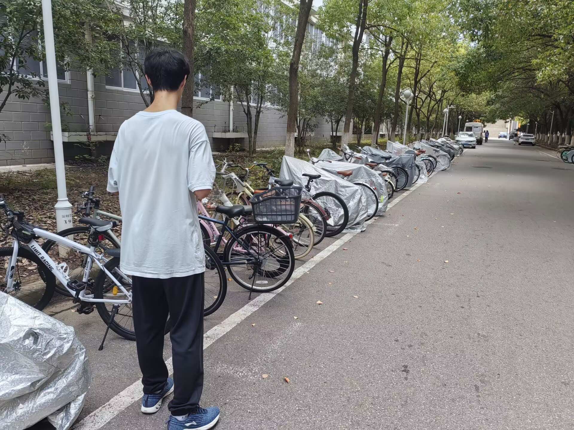 ϾؔWW{У@e܇̽Gɫѭhģʽp̼ĿˌF