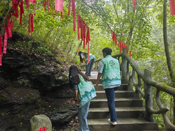 t(y)ˎW(xu)Ժɭ`(sh)`(du)o(h)B(ti)xܽ