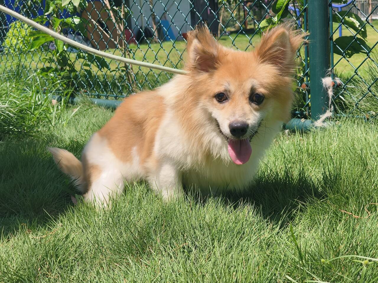 ЌW(xu)(sh)`ģیӰů t(y)(hu)(sh)`(dng)AM_չ