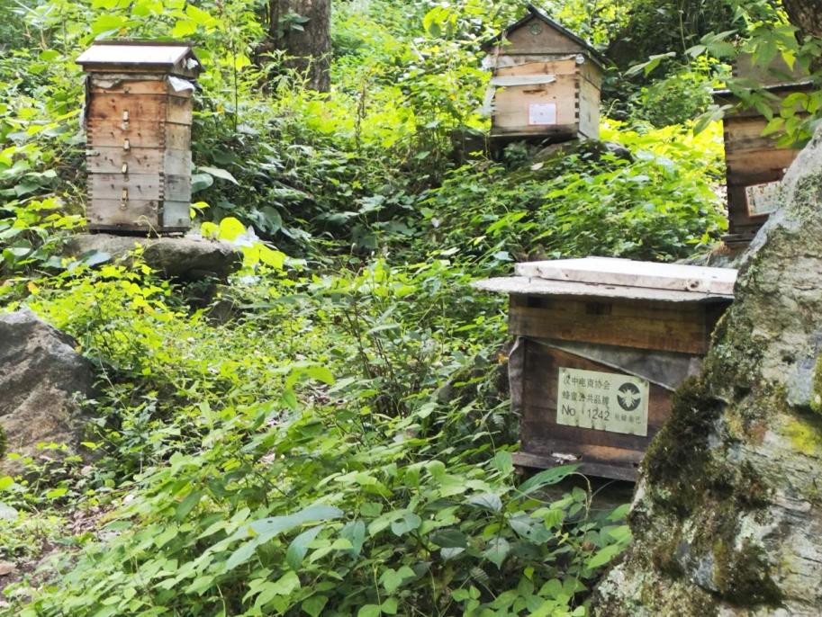 ۵ǧc(dng)̽(bio)F(tun)(du)̽L(bio)