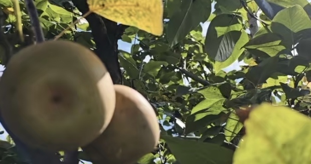 GxVƪ|ഺl(xing)·Ld(sh)`F(tun)tG١ںό(sh)`ƪ