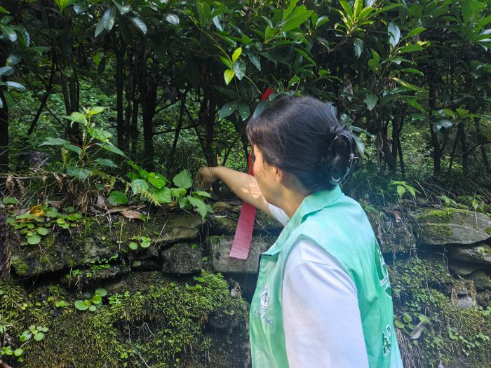 GaµഺW(xu)_h(hun)B(yng)֮·